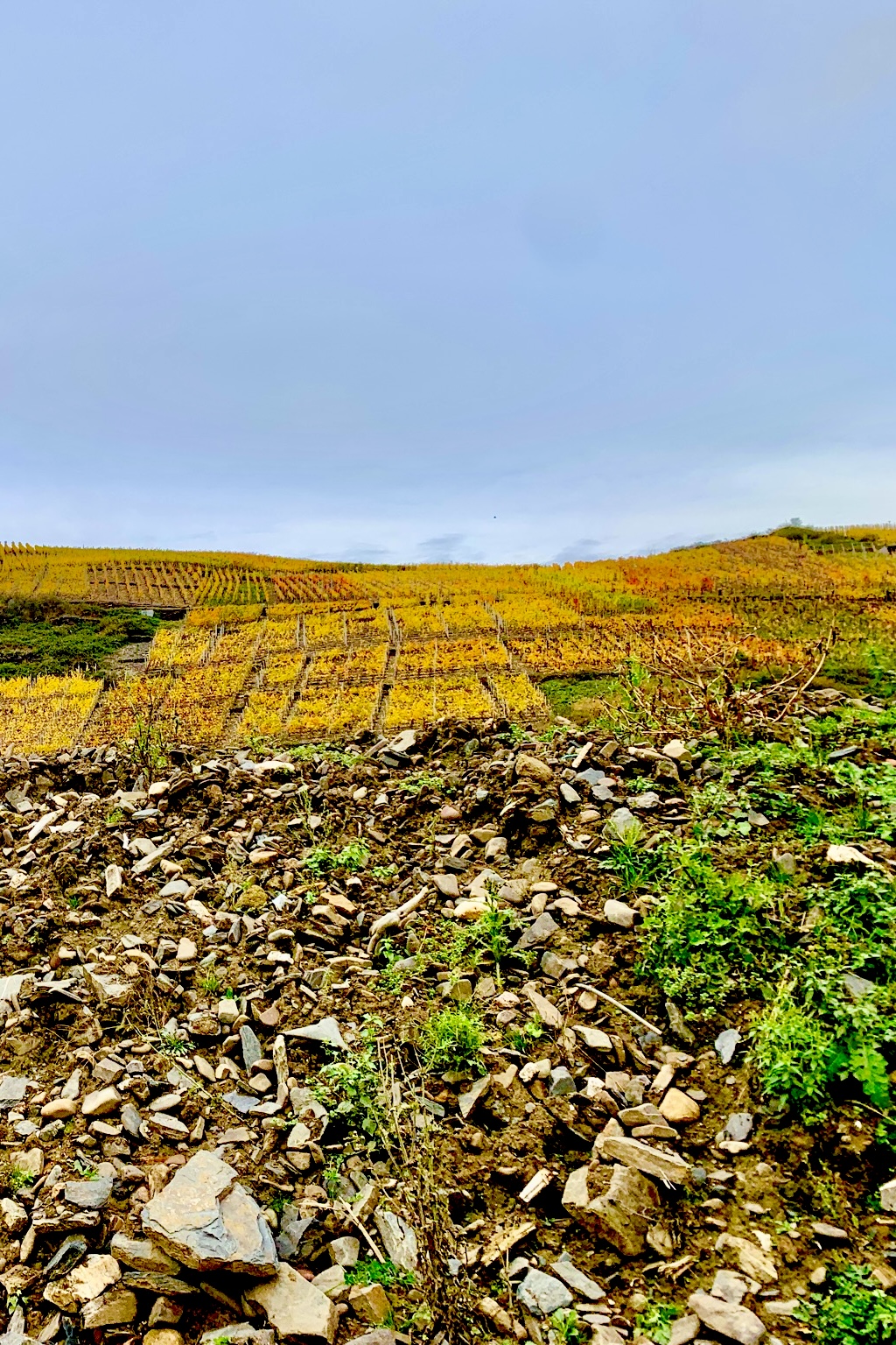 beSCHÖNigen . xpon-art gallery . Hamburg